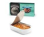 Los Mejores Mariscos en Conserva para una Paella Perfecta: Análisis y Comparativa de Productos