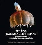 Sepias y Calamares en la Paella: Análisis de los Mejores Productos y Consejos para un Sabor Inigualable
