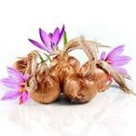 Todo lo que necesitas saber sobre el azafrán: Análisis y comparativa de 1 kg para hacer la paella perfecta Todo lo que necesitas saber sobre el azafrán: Análisis y comparativa de 1 kg para hacer la paella perfecta