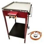Las Mejores Planchas para Paella: Análisis y Comparativa de los Productos que Transformarán tu Cocina