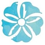 Apadrina un Comercio Dana: Equipos y Utensilios Esenciales para la Mejor Paella